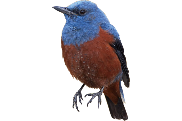 オレンジ大学の雰囲気1