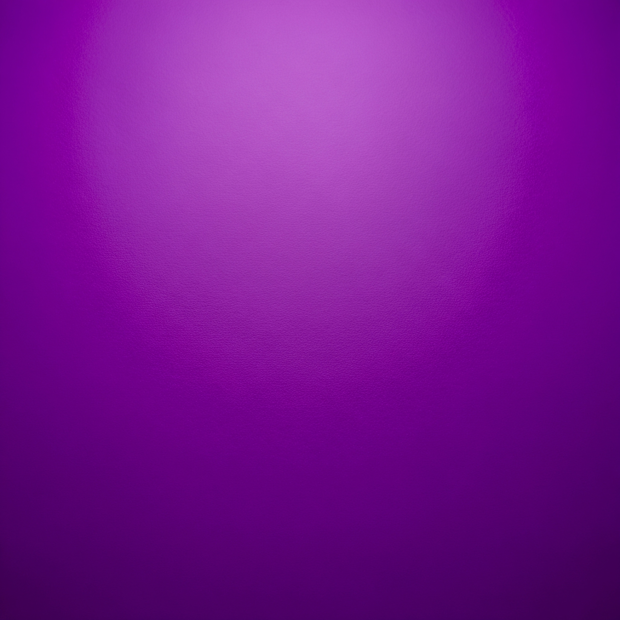 20250909むらさき12345678